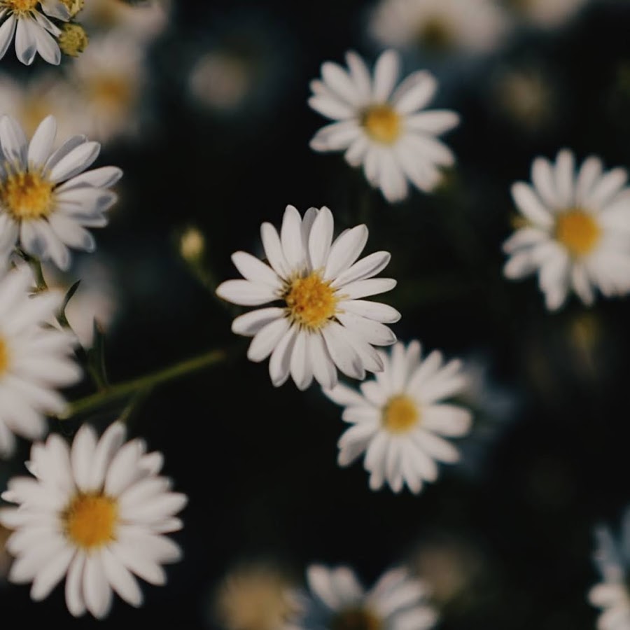 Processed with VSCO with hb2 preset